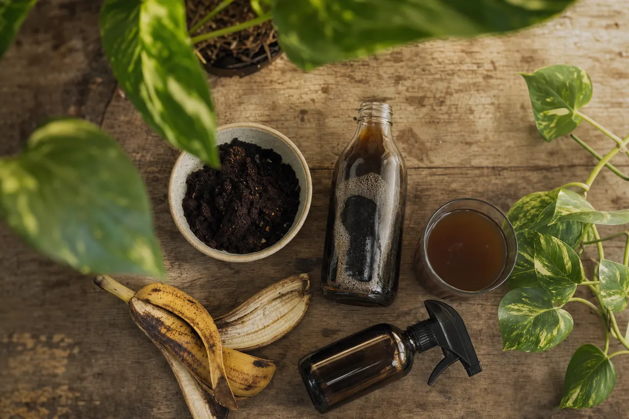 Borra de café, casca de banana, húmus líquido e borrifador sobre mesa de madeira